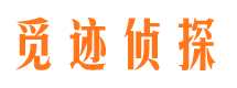 乐山市调查公司